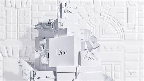 dior aie|christian dior official website.